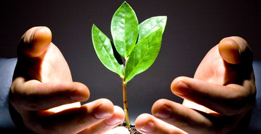 Solution création d'entreprise