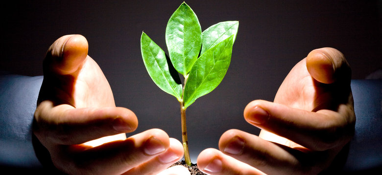 Solution création d'entreprise
